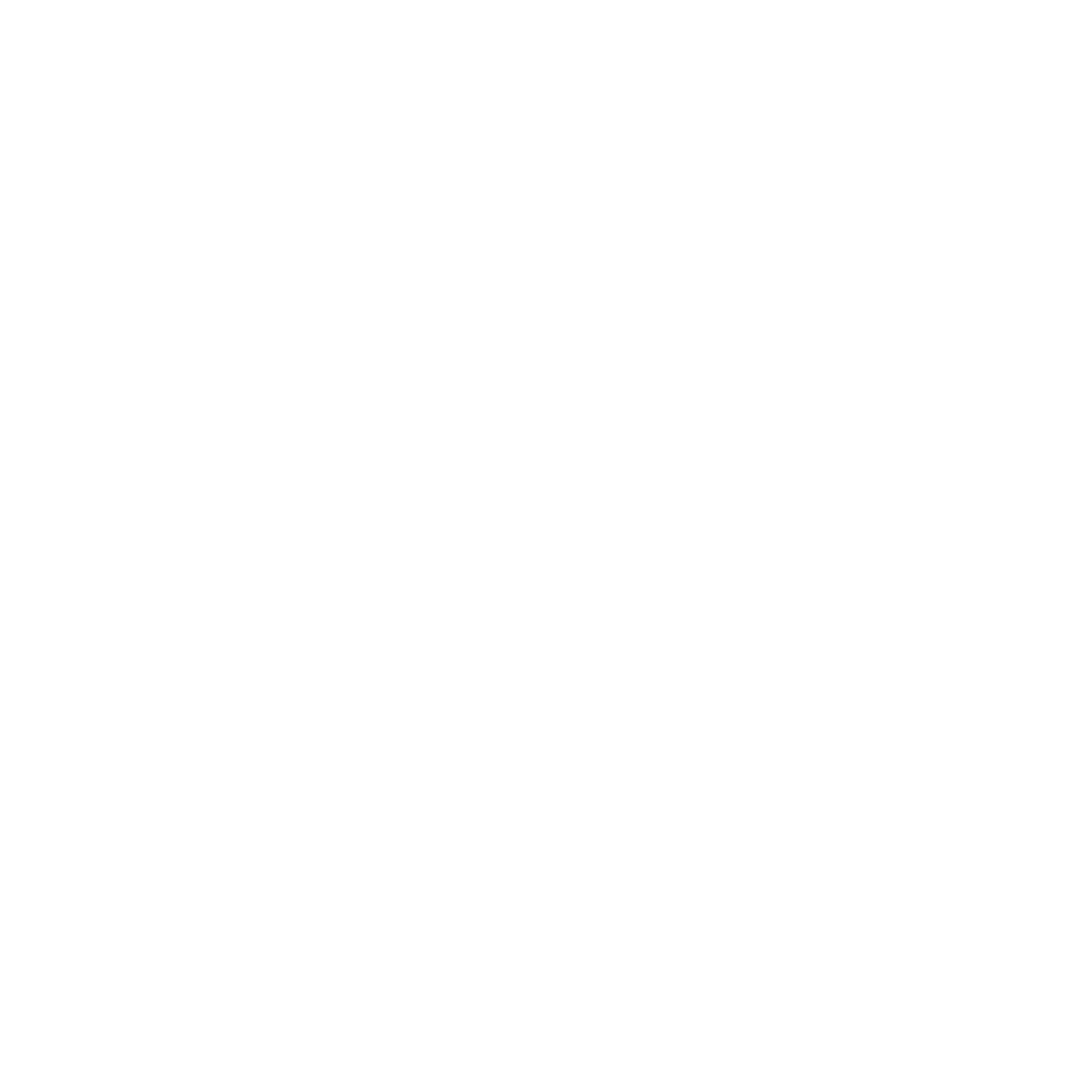AnnyGoesSlowly Logo