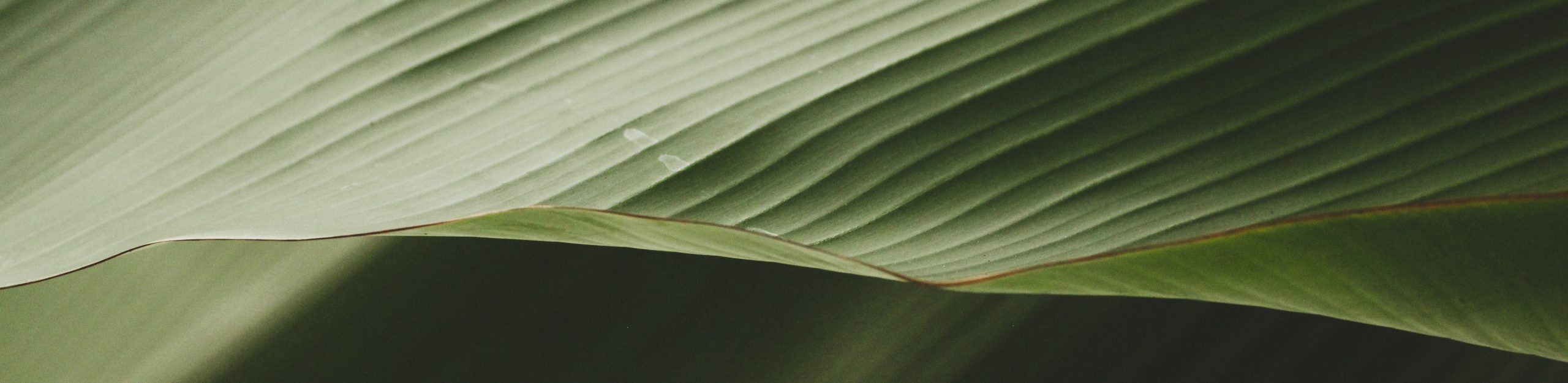 events-background